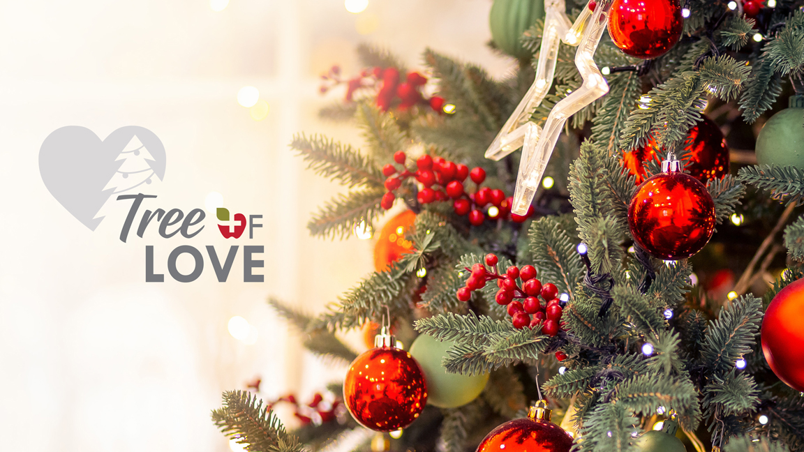 Image of Christmas Tree