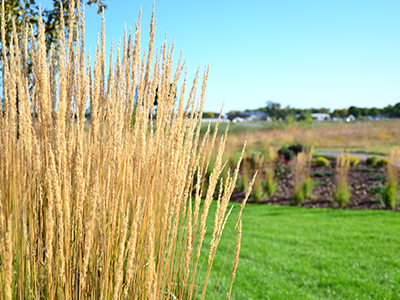 Image of JRMC Kornovich Healing Garden, which was donated by the community through JRMC Foundation. Image of JRMC Kornovich Healing Garden, which was donated by the community through JRMC Foundation.