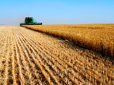 JRMC collaborated with The Village Business Institute to offer web-based counseling at no cost to the agricultural community. Learn more at (800) 627-8220.