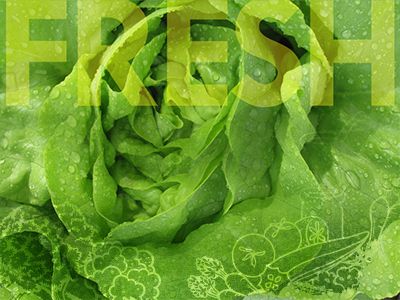 JRMC Auxiliary to hold salad luncheon on May 1, 2019 at Temple Baptist Church in Jamestown, N.D.