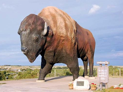 The World's Largest Buffalo in Jamestown, ND